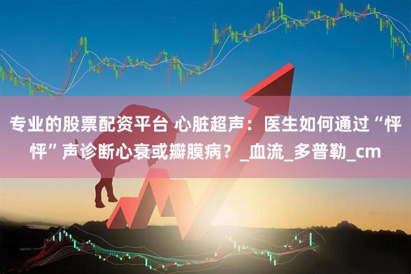 专业的股票配资平台 心脏超声：医生如何通过“怦怦”声诊断心衰或瓣膜病？_血流_多普勒_cm