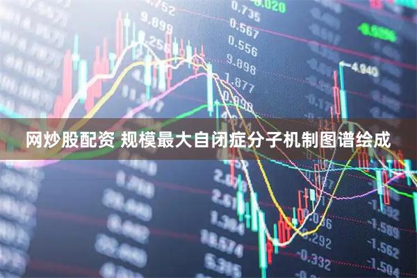 网炒股配资 规模最大自闭症分子机制图谱绘成